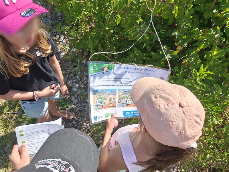 Fin d’année sur l’Aire Terrestre Éducative de l’école Jacques Brel à Cambrai